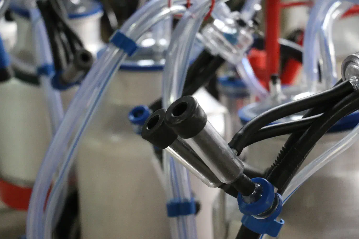 دستگاه شیر دوش استیل، گاوداری، گوسفند، بز|ماشین‌آلات صنعتی|اصفهان, شهرک امام خمینی|دیوار