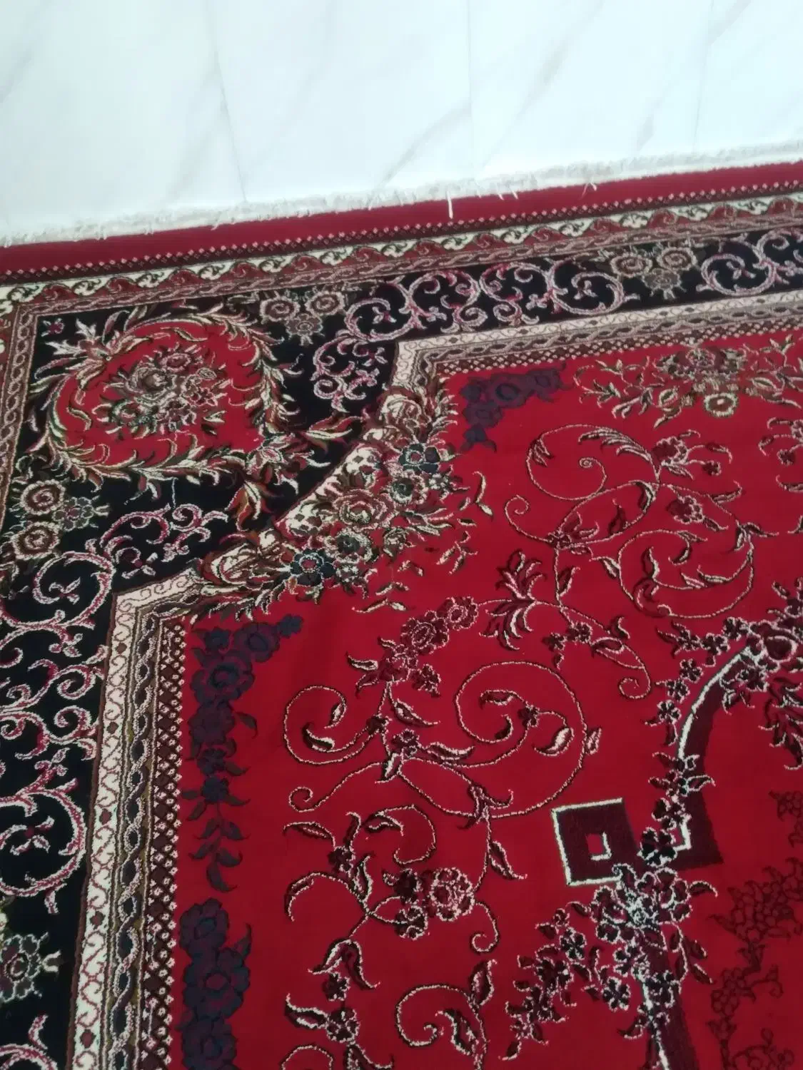 فرش|فرش|کرمانشاه, |دیوار