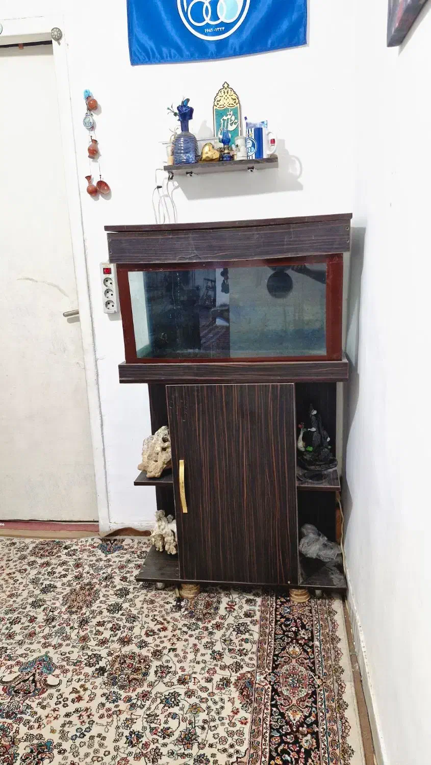 آکواریوم|ماهی|زاهدان, |دیوار