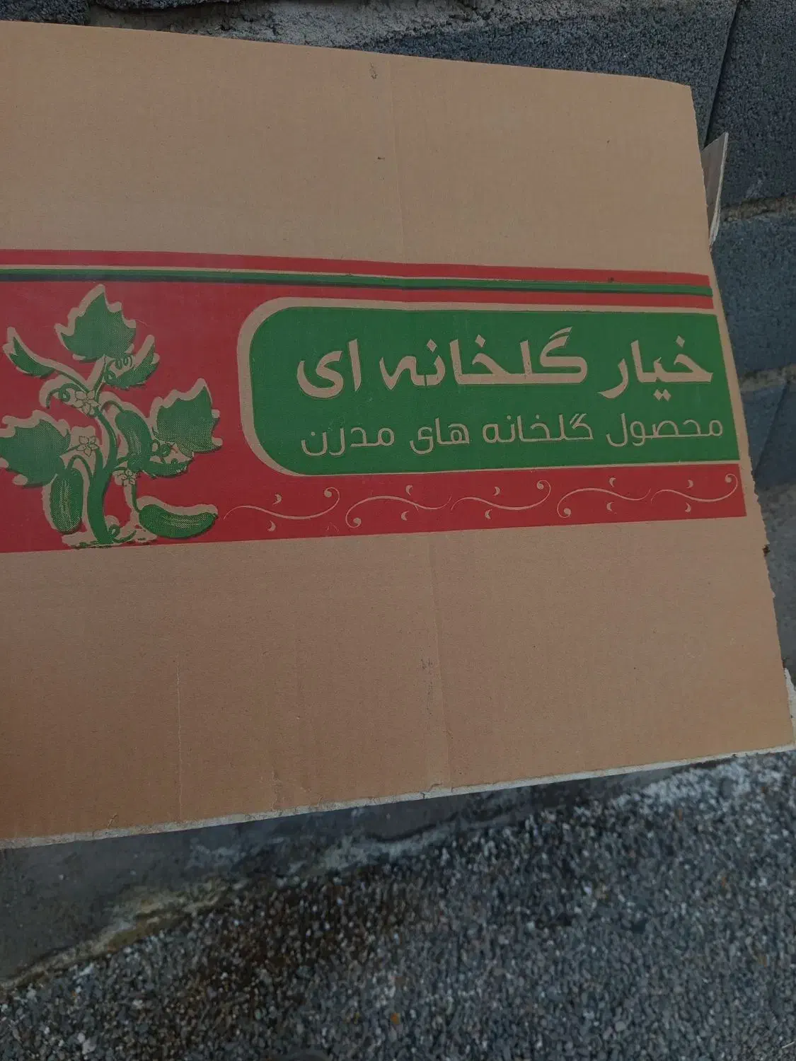 کارتن خیار|عمده‌فروشی|سلفچگان, |دیوار