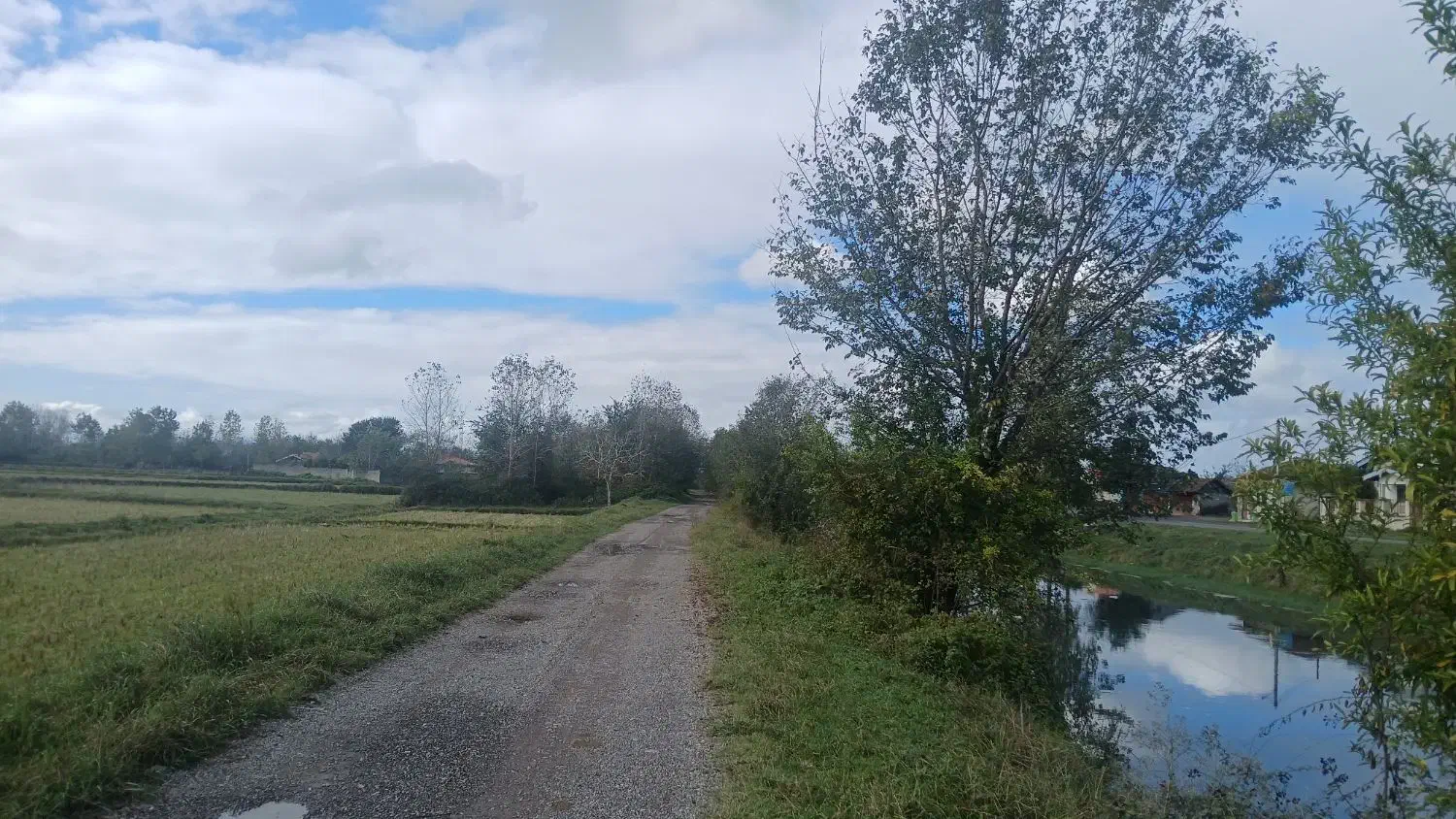 ۱هکتار شالیزارسنددار بررودخانه سنگررشت|فروش زمین و ملک کلنگی|سنگر, |دیوار