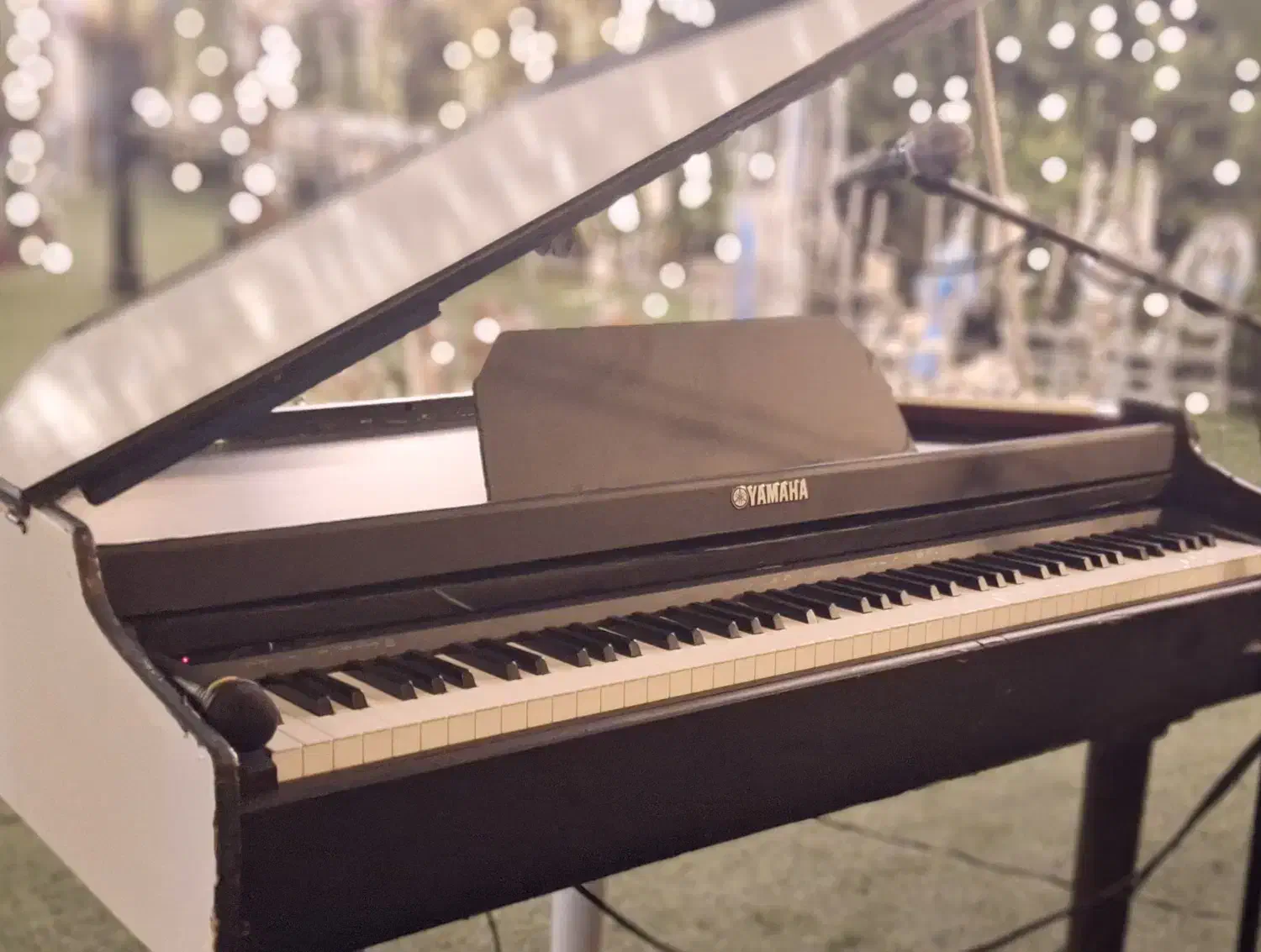 Piano - keybord|پیانو، کیبورد، آکاردئون|پردیس, فاز ۱۱|دیوار