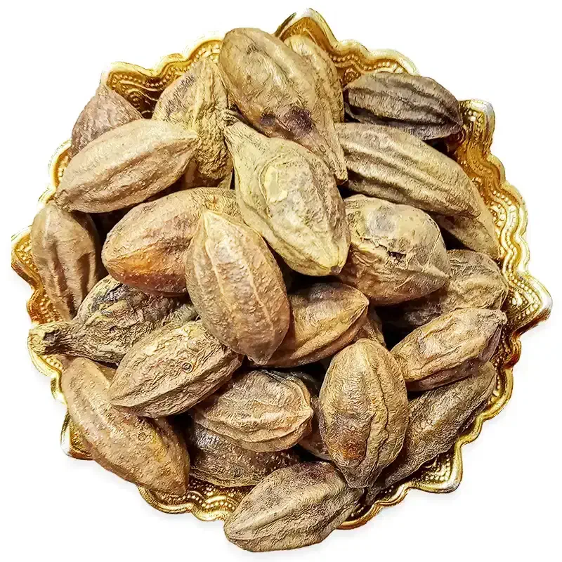 خانم راهنمایی کند|فعالیت داوطلبانه|بندر کنگان, |دیوار