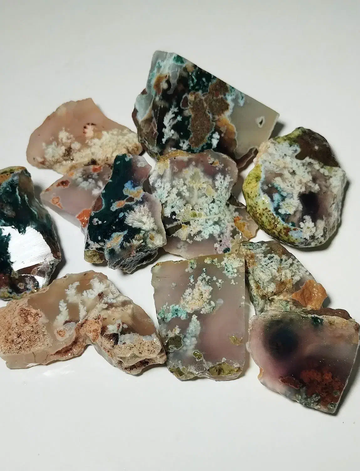 شجر هفت رنگ خاص|بدلیجات|فردوس (خراسان), |دیوار