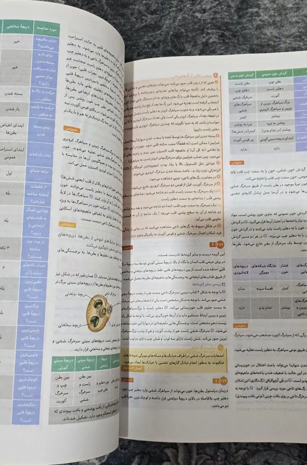کتاب ای کیو گاج (IQ) زیست دهم|کتاب و مجله آموزشی|ری, دیلمان|دیوار