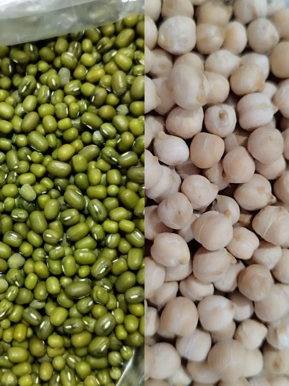 نخود و ماش|خوردنی و آشامیدنی|جلین, |دیوار