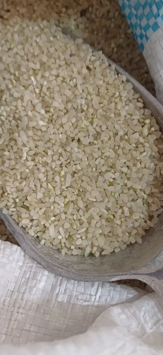 لوبیا چیتی،لوبیا قرمز،خورده برنج|خوردنی و آشامیدنی|شیراز, شهرک صادقیه|دیوار