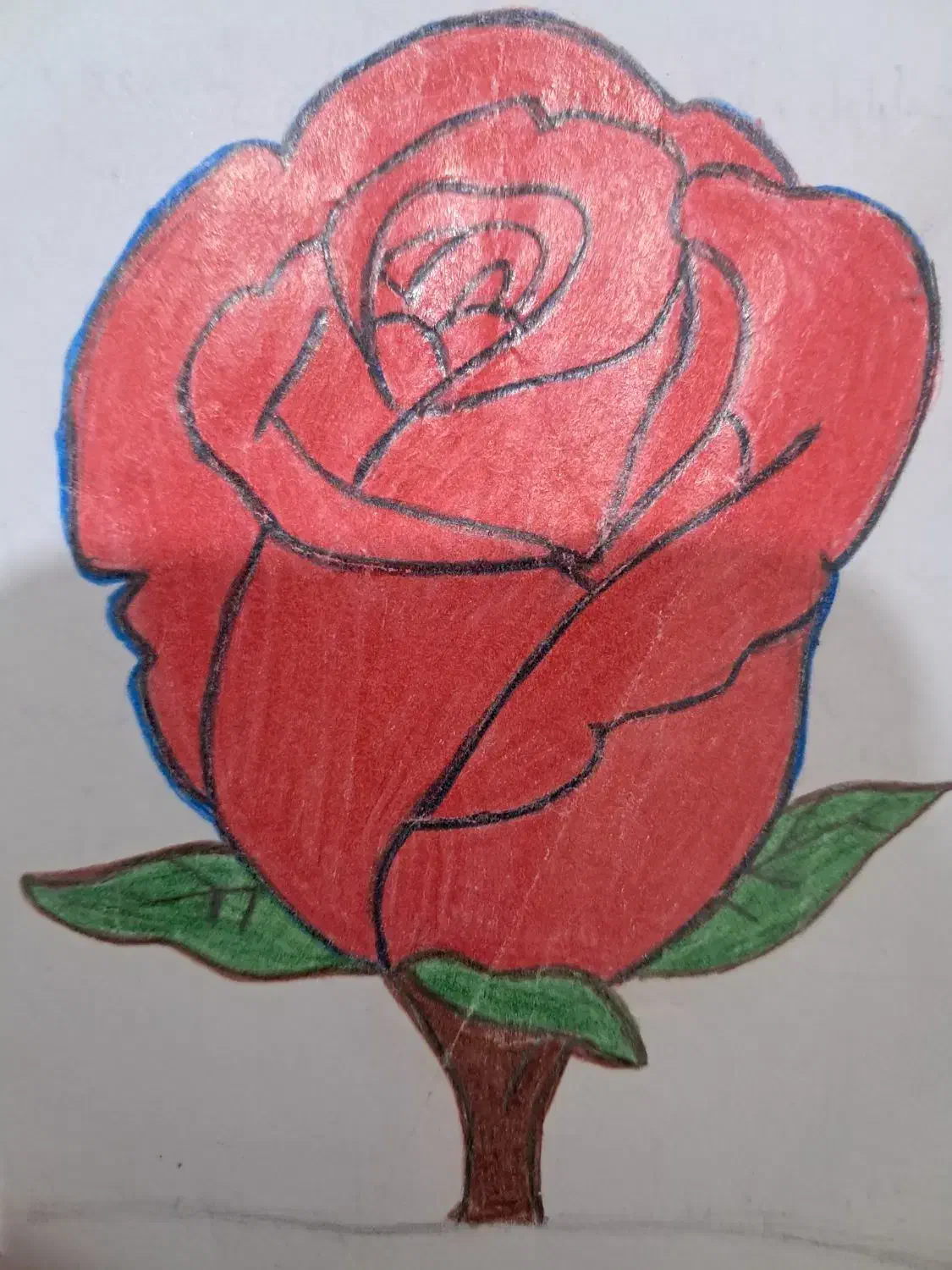 گل جاودان|گل مصنوعی|کوهدشت, |دیوار