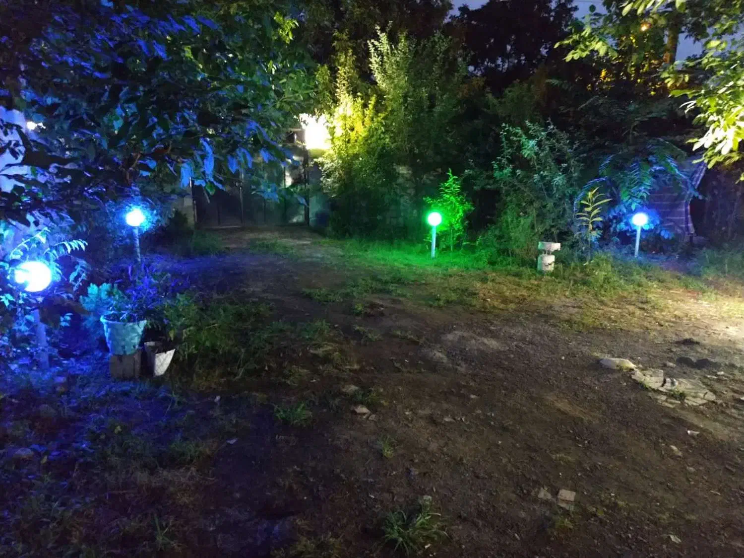 رهن مبله ویلا باغ|اجارهٔ خانه و ویلا|ماسال, |دیوار