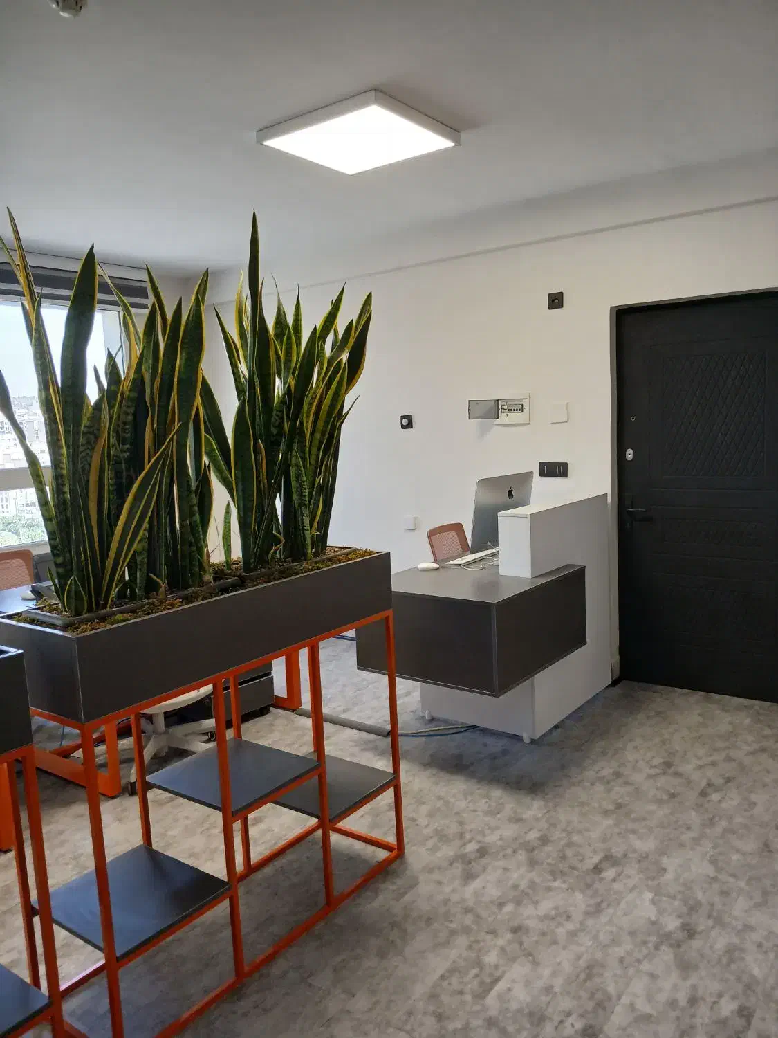 استخدام گرافیست|استخدام هنری و رسانه|تهران, مرزداران|دیوار