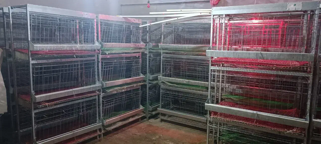 قفس مرغ تخم گذار|لوازم جانبی حیوانات|تهران, شهرک رضویه|دیوار