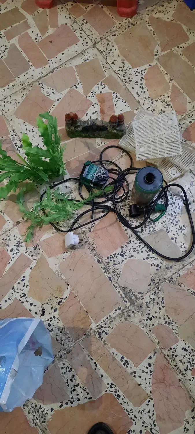 تعدادی لوازم اکواریوم|ماهی|رشت, فرزانه|دیوار