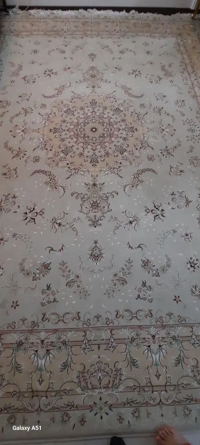 فرش ۱۲ متری|فرش|مشهد, هفت تیر (نه دره)|دیوار