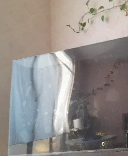 تلویزیون|تلویزیون و پروژکتور|فشاپویه, |دیوار