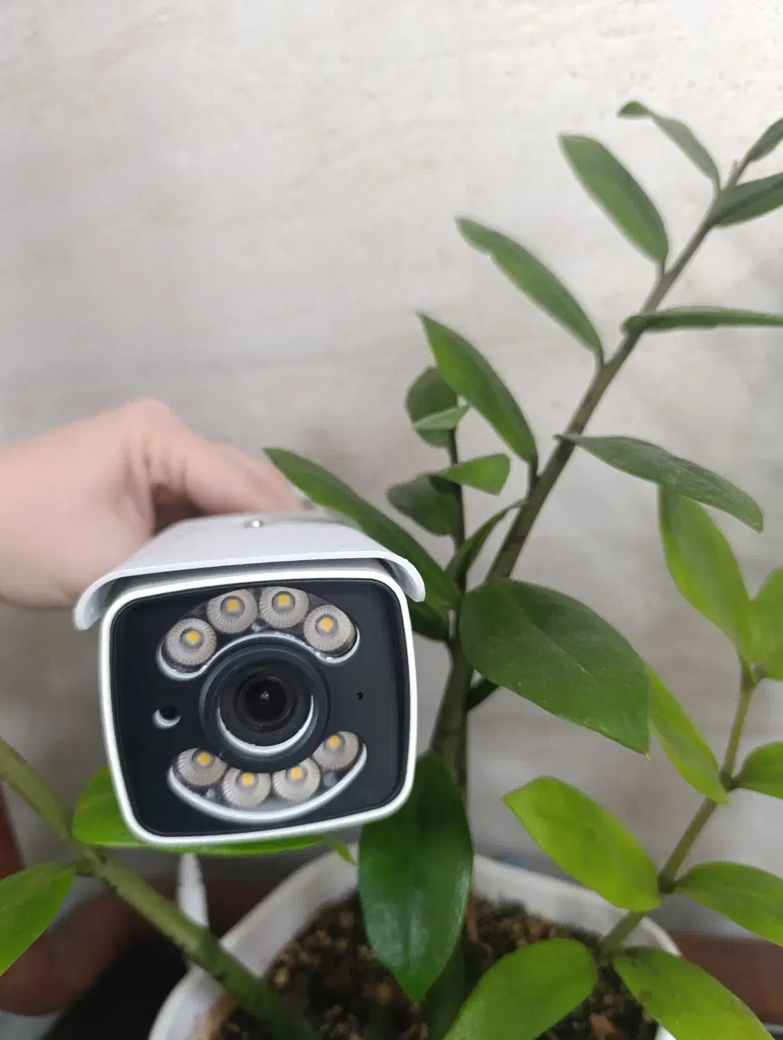 (سیستم دوربینی ۴عد دی در سیاهکل)|دوربین مداربسته|سیاهکل, |دیوار