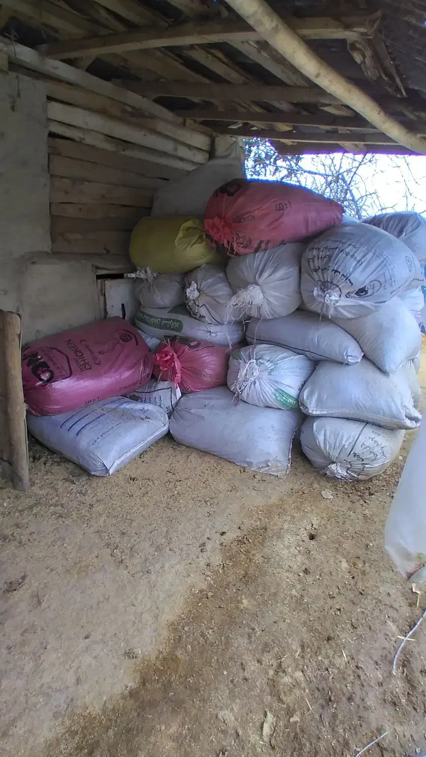 کود حیوانی|گل و گیاه طبیعی|گوراب زرمیخ, |دیوار