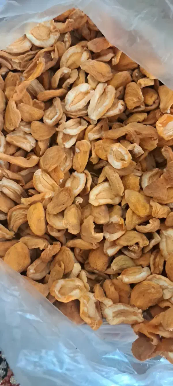 برگه زردآلو|خوردنی و آشامیدنی|گلپایگان, |دیوار