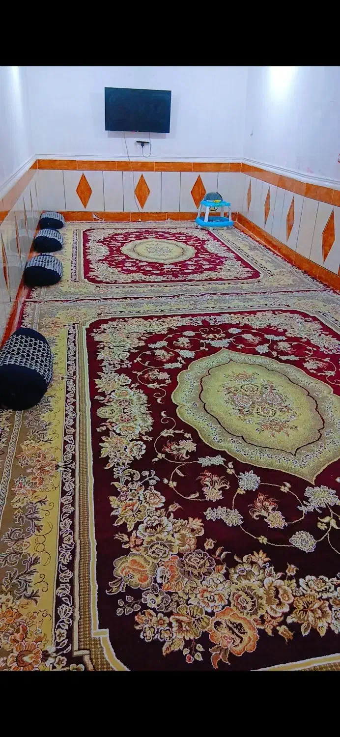 قالی|فرش|خرمشهر, |دیوار