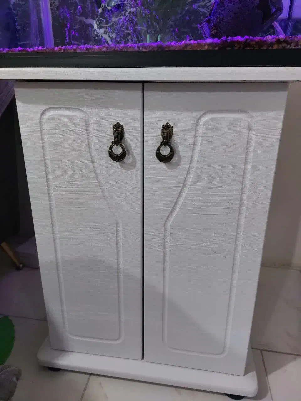 آکواریوم شرکتی ۵۰لیتری کامل|ماهی|هشتگرد, فاز ۱ مهستان|دیوار