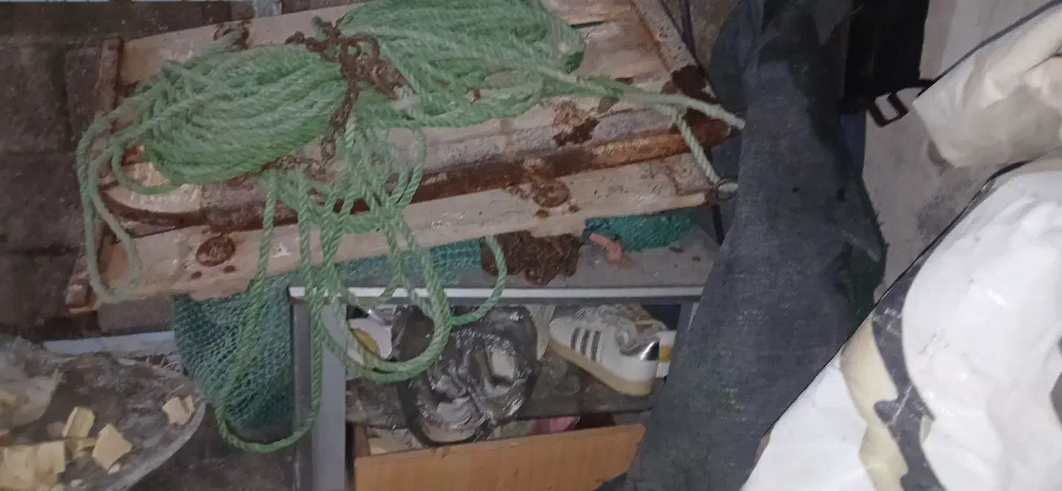 گونه تمیز|ماهیگیری|بندر ماهشهر, |دیوار