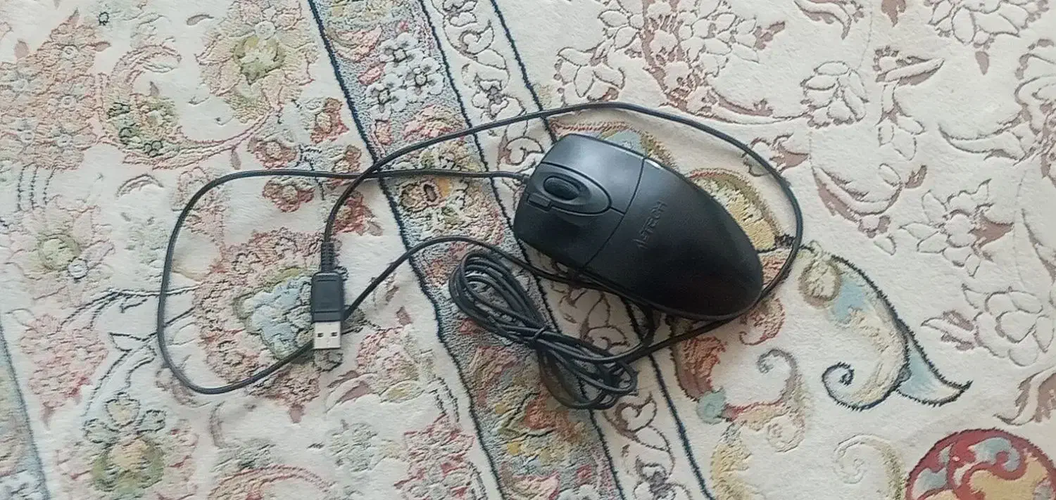 لب تاب hp ودوربین دیجیتال سونی|رایانه همراه|مشهد, شریف|دیوار