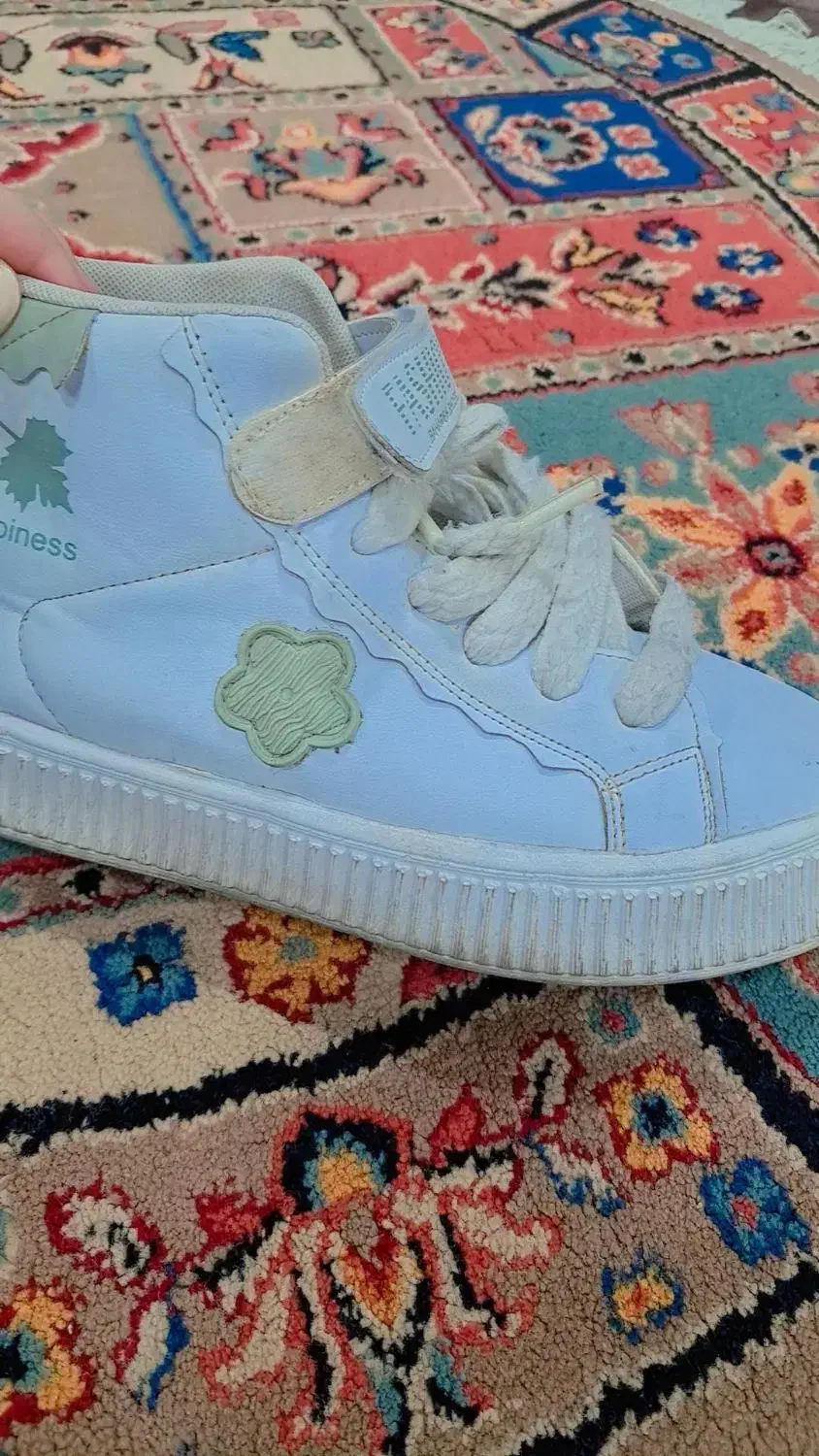 کفش|کیف، کفش، کمربند|اندیمشک, |دیوار