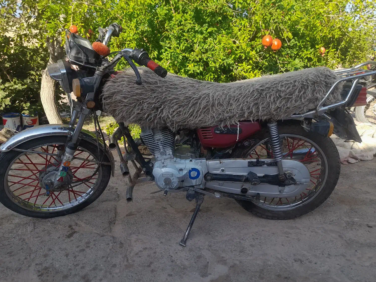 موتور|موتورسیکلت|گزیک, |دیوار