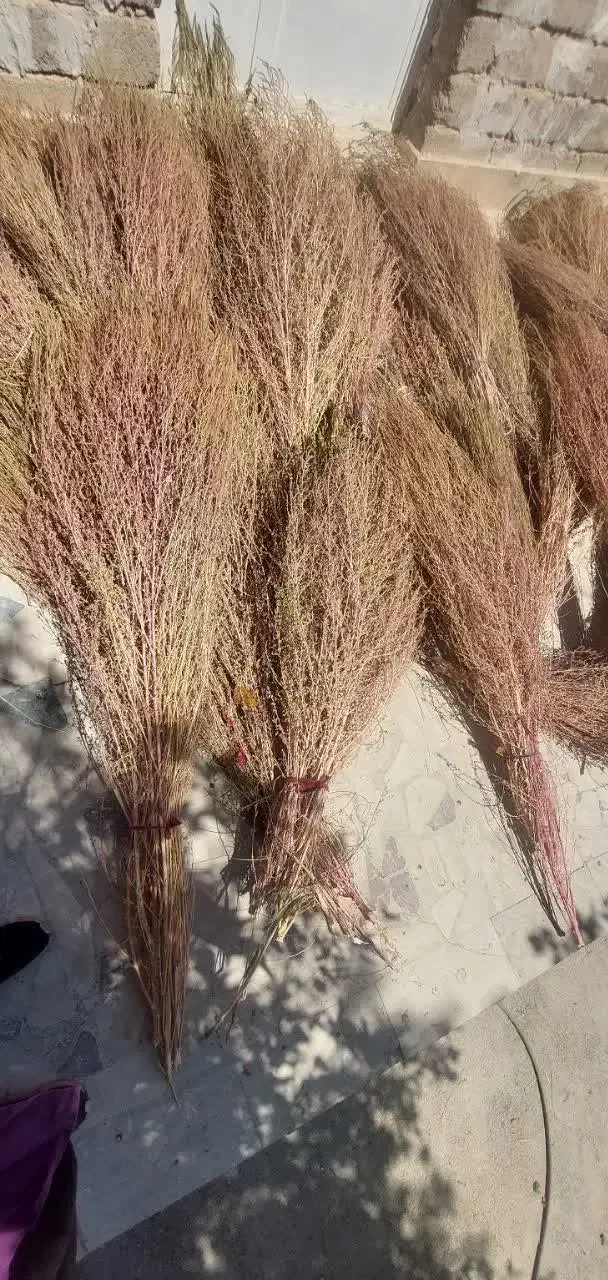 جارو شهرداری ،محلی|لوازم نظافت|اندیمشک, |دیوار