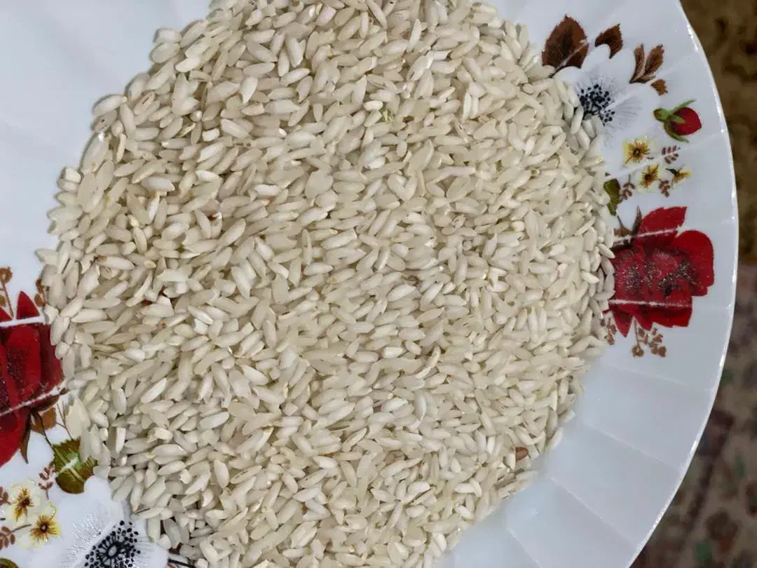 برنج عنبر بو تیلکی شوشتر گلالک|خوردنی و آشامیدنی|شوشتر, |دیوار