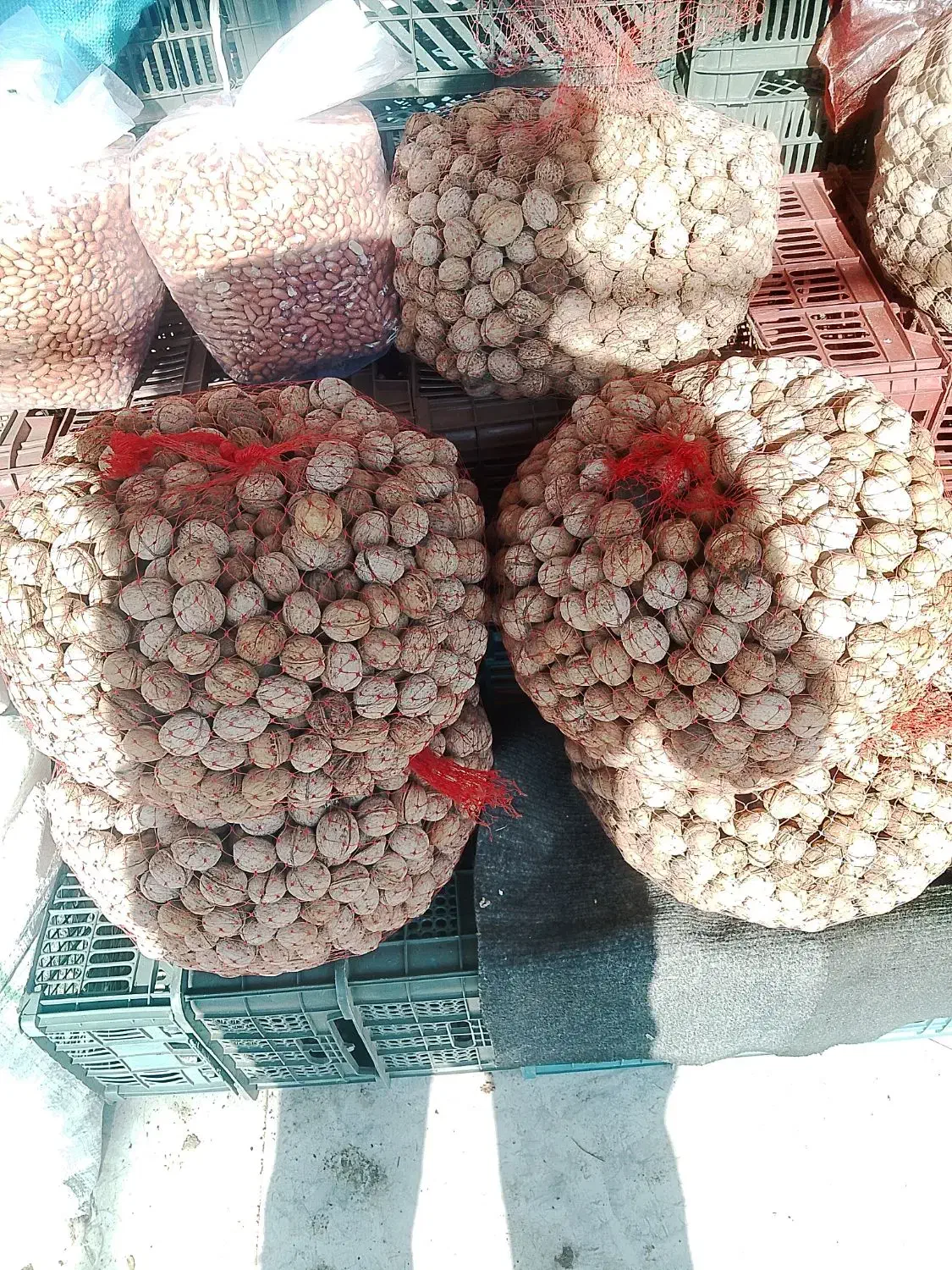 گردو خوب و روغنی  اونار واجه عمده وخورده|خوردنی و آشامیدنی|مشگین شهر, |دیوار