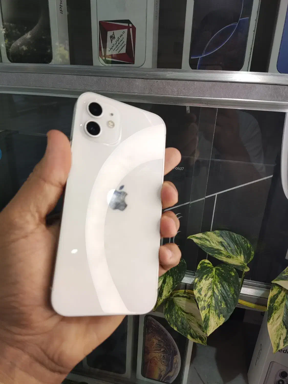 آیفون 12|موبایل|شیراز, گلدشت معالی‌آباد|دیوار