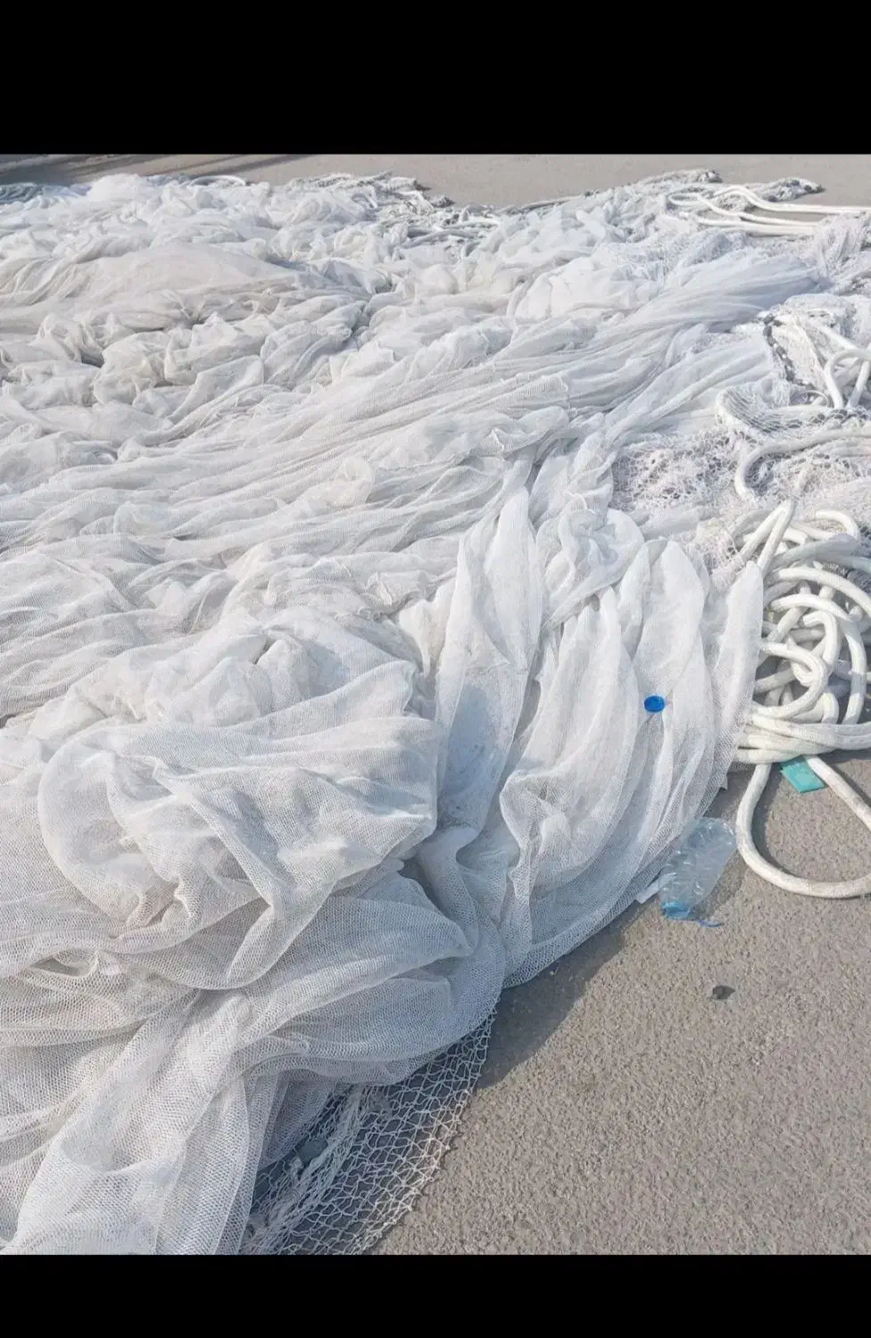 تور محاصره ای|ماهیگیری|قشم, |دیوار