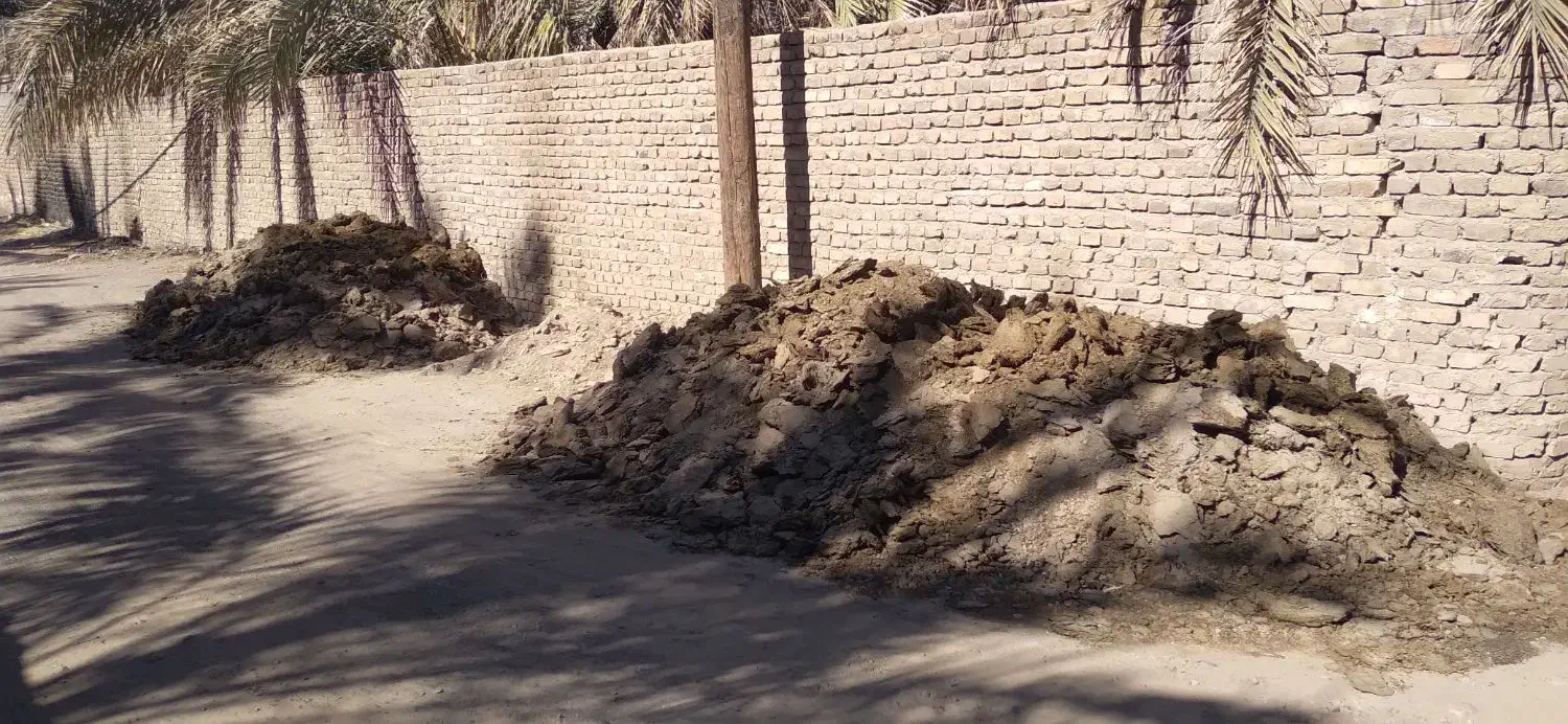 کودگاوی خالص محلی|خدمات باغبانی و درختکاری|بم, |دیوار