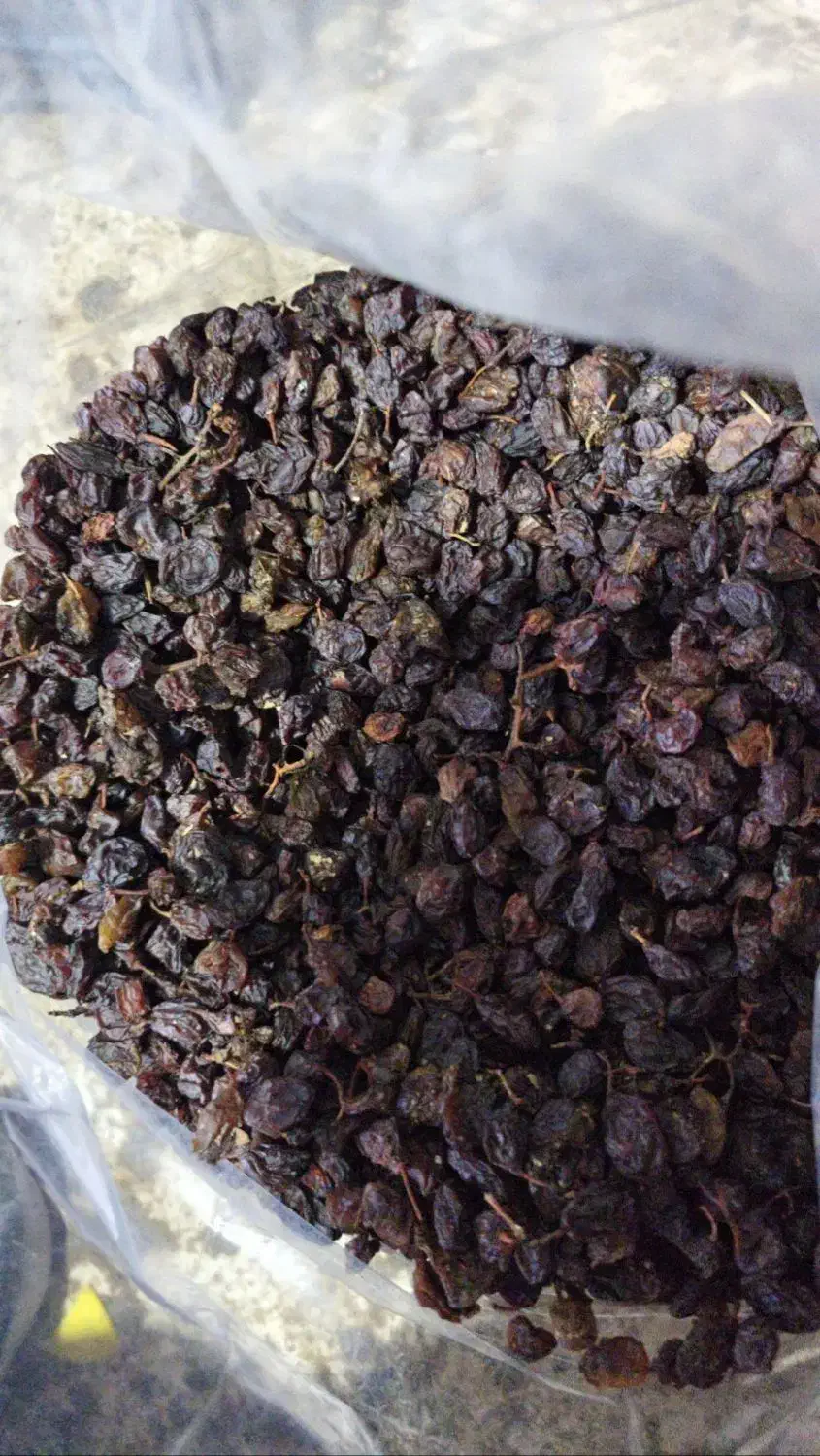 فروش کشمش|خوردنی و آشامیدنی|تاکستان, |دیوار