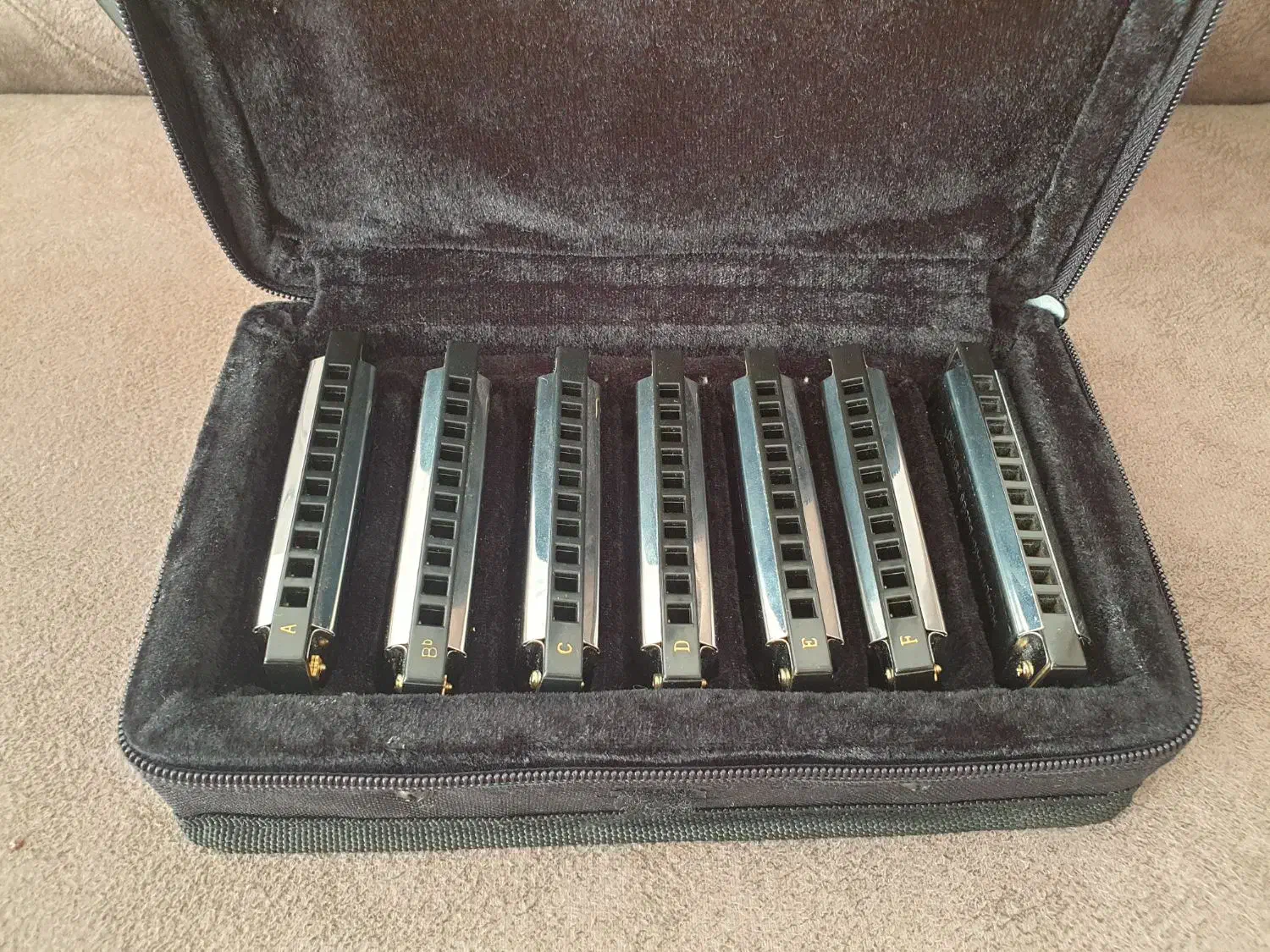 گیتار وسازدهنی|گیتار، بیس، امپلیفایر|اصفهان, آزادان|دیوار