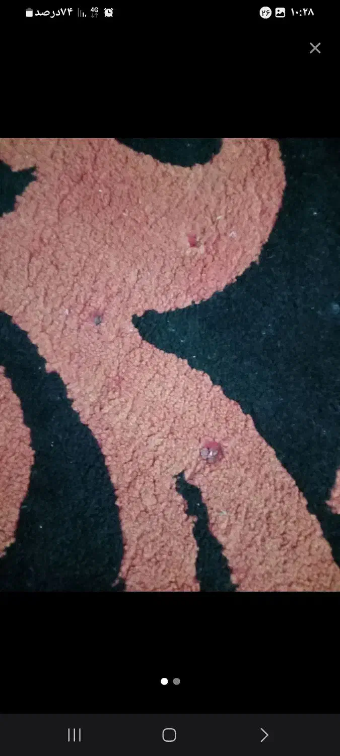 فرش۶ متری|فرش|پیشوا, |دیوار