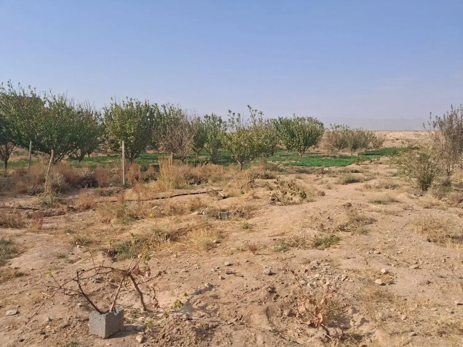 استخدام نیروی کار ساده جهت اسفراین|استخدام سرایداری و نظافت|سبزوار, قصبه شرقی|دیوار