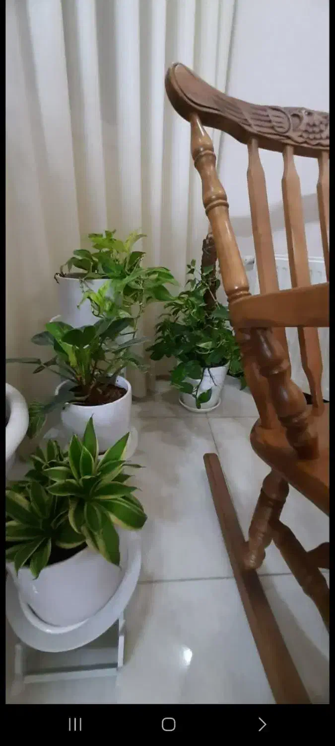 صندلی راک بهمراه گلدانهای طبیعی|صندلی و نیمکت|مشهد, جانباز|دیوار