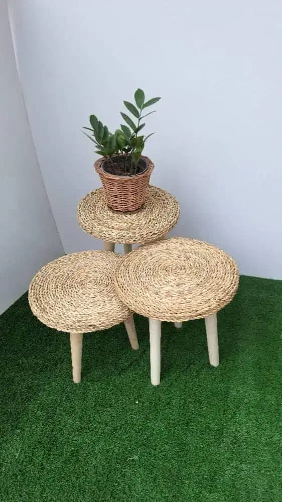 استند گل و گیاه|گل و گیاه طبیعی|دوگنبدان, |دیوار