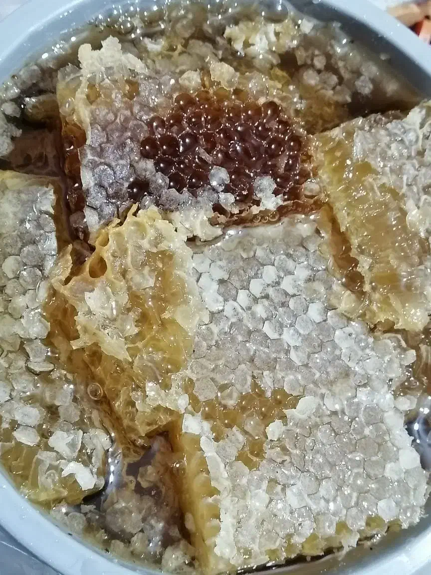 عسل به قیمت عمده|خوردنی و آشامیدنی|مرودشت, ثبت احوال|دیوار