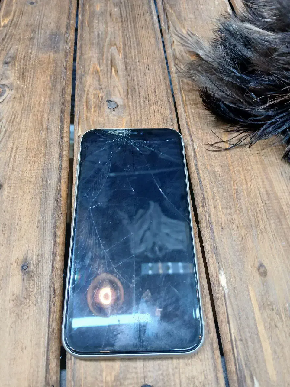 اپل iPhone 11 با حافظهٔ ۱۲۸ گیگابایت|موبایل|مشهد, گلشور|دیوار