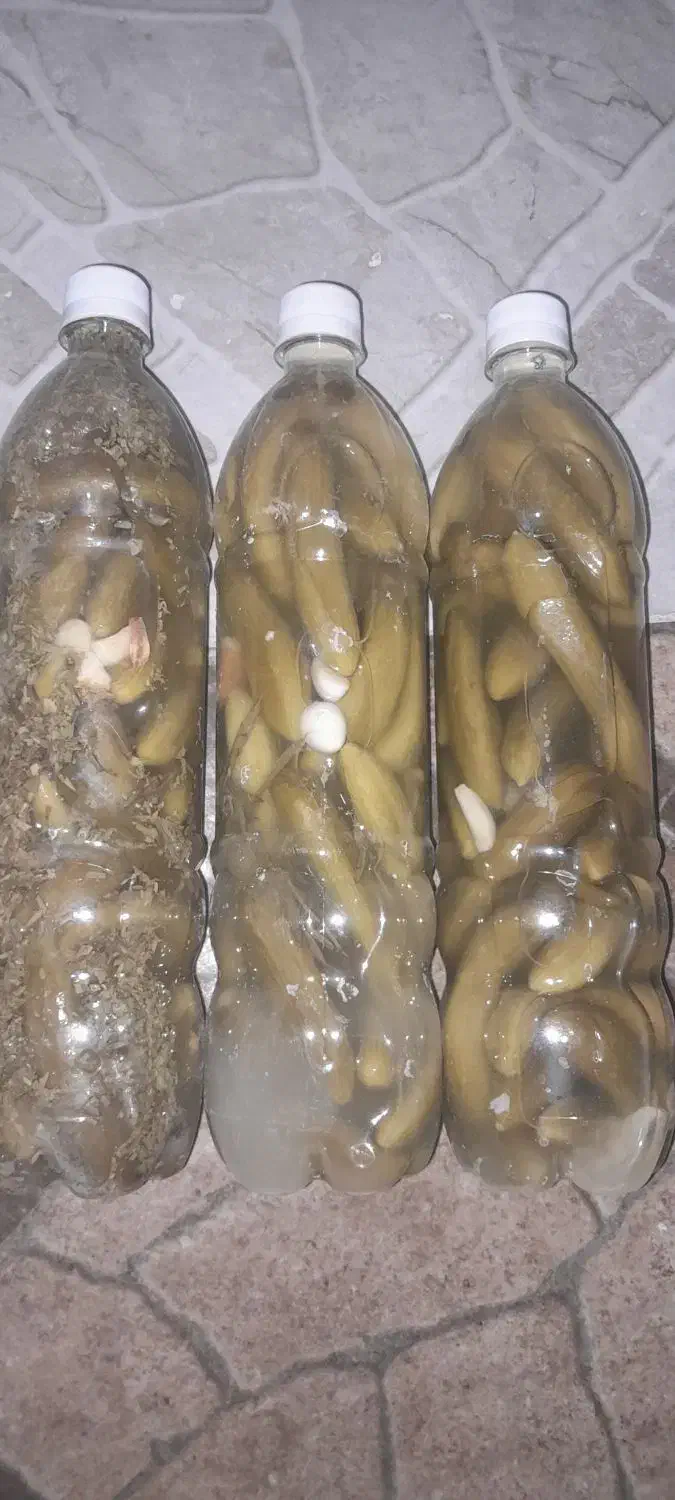 خیارشور خانگی ریز نوشابه ای|خوردنی و آشامیدنی|دهگلان, |دیوار