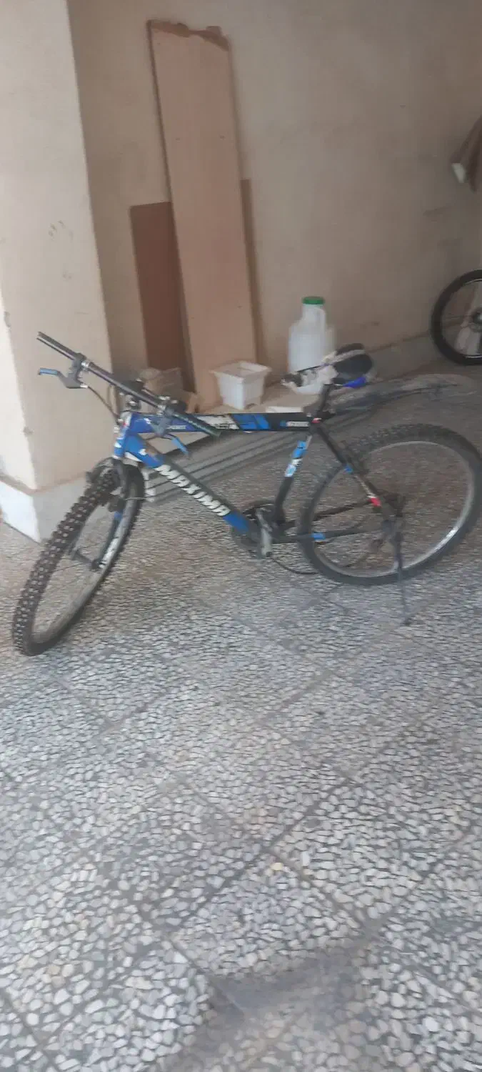 دوچرخه ۲۶|دوچرخه، اسکیت، اسکوتر|قدس, شهر‌قدس|دیوار