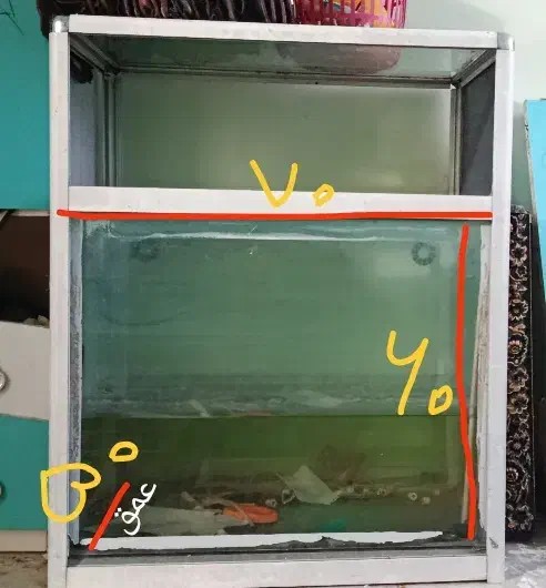 آکواریوم|ماهی|قزوین, |دیوار