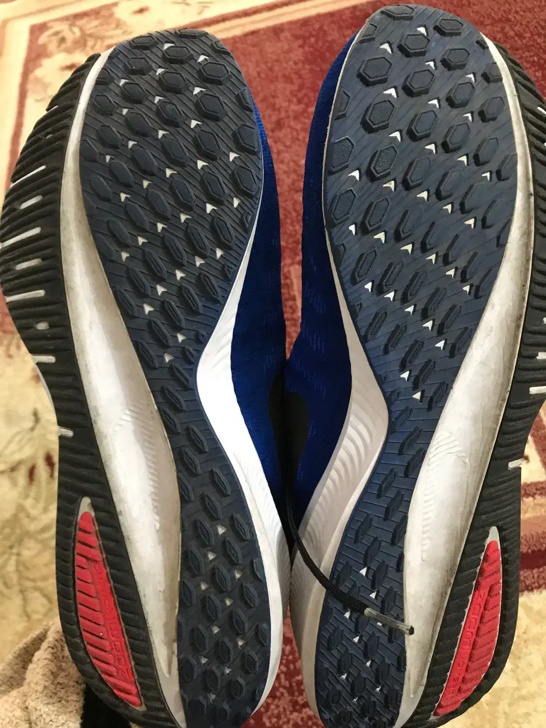 کفش نایک|کیف، کفش، کمربند|سلماس, |دیوار