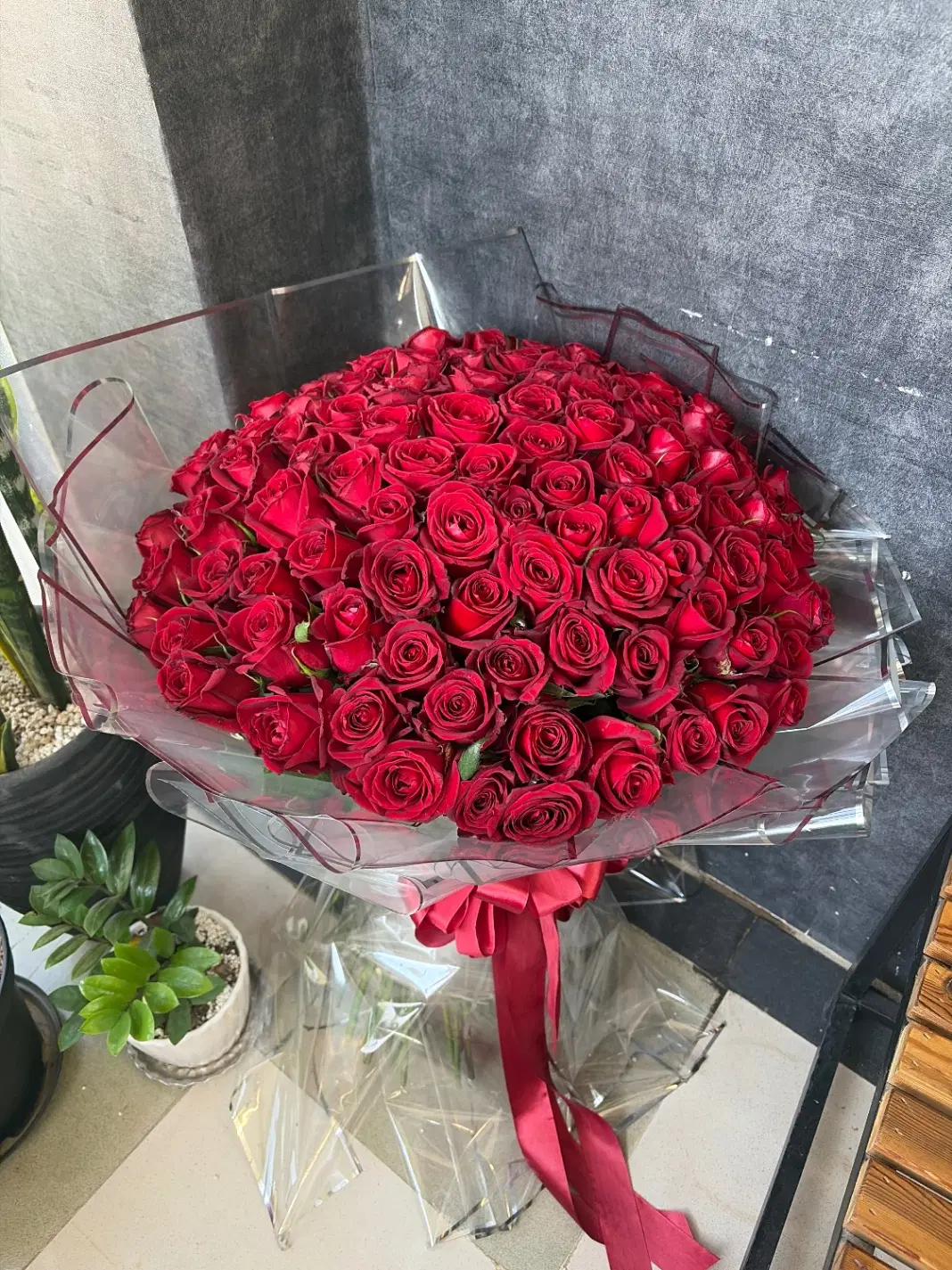 گل رز|گل و گیاه طبیعی|اصفهان, رحیمآباد|دیوار