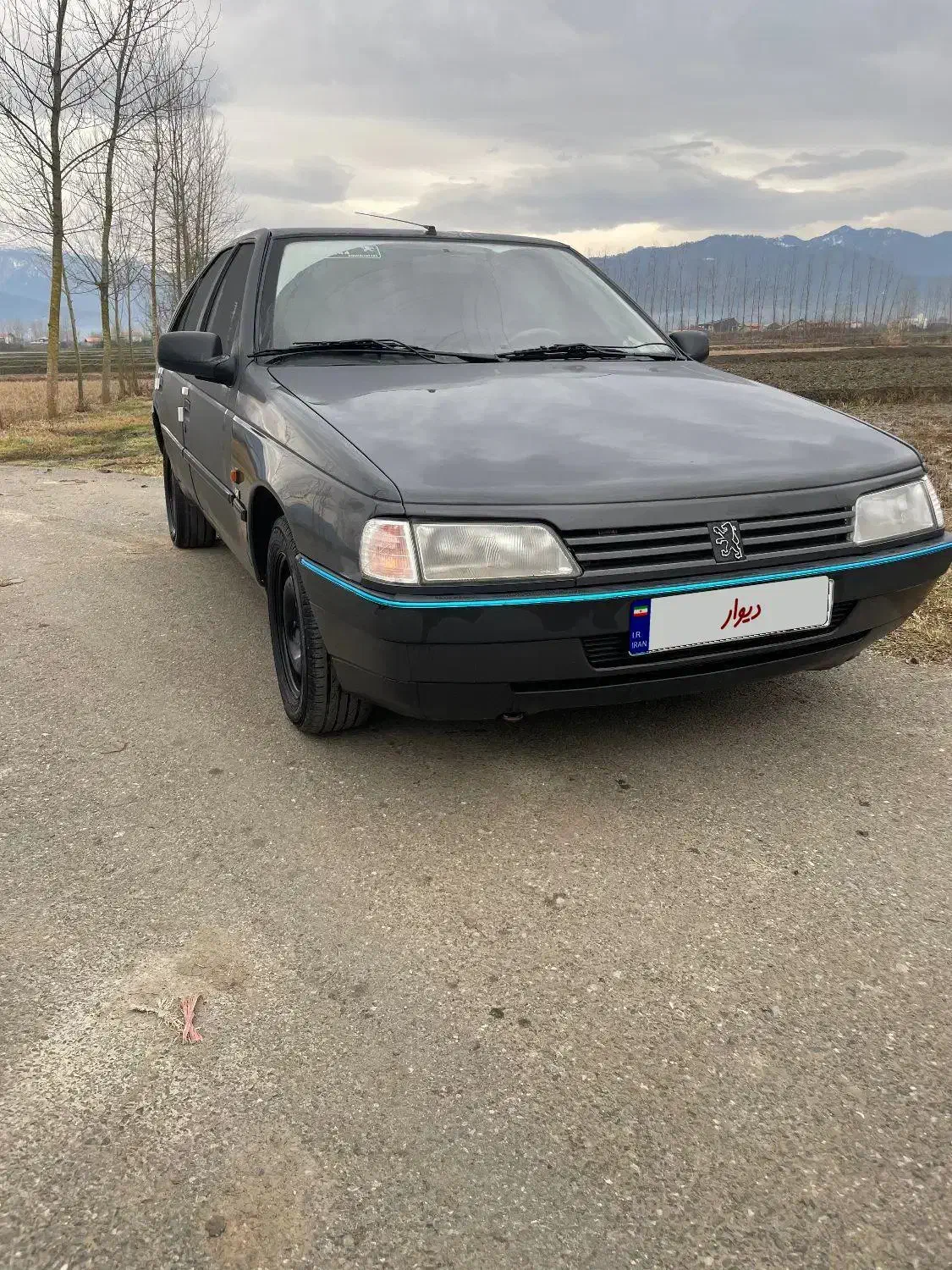 ۴۰۵ مدل ۸۴|خودرو سواری و وانت|شلمان, |دیوار