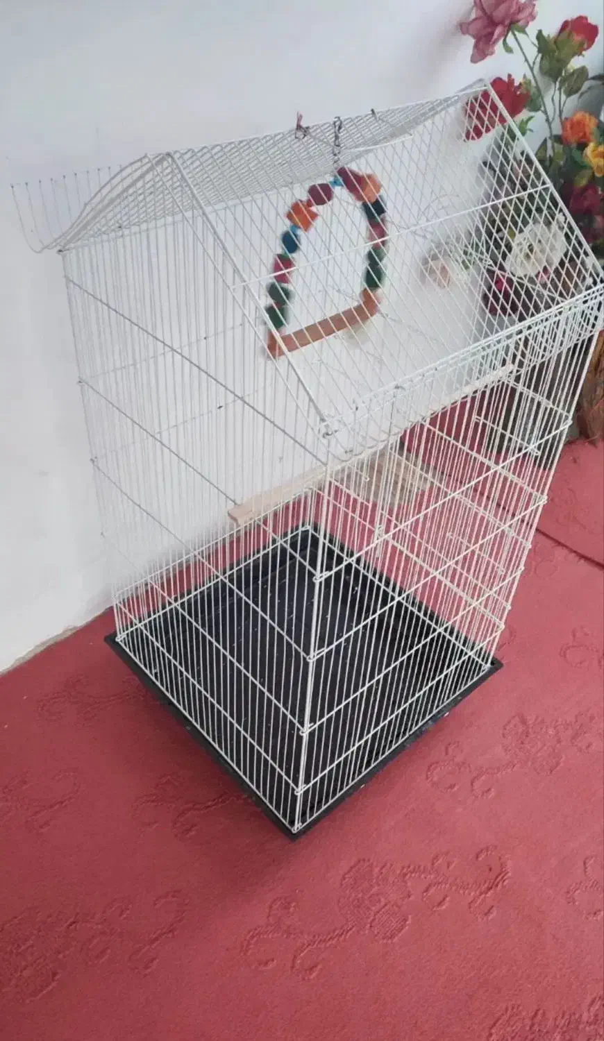 قفس|لوازم جانبی حیوانات|صومعهسرا, |دیوار