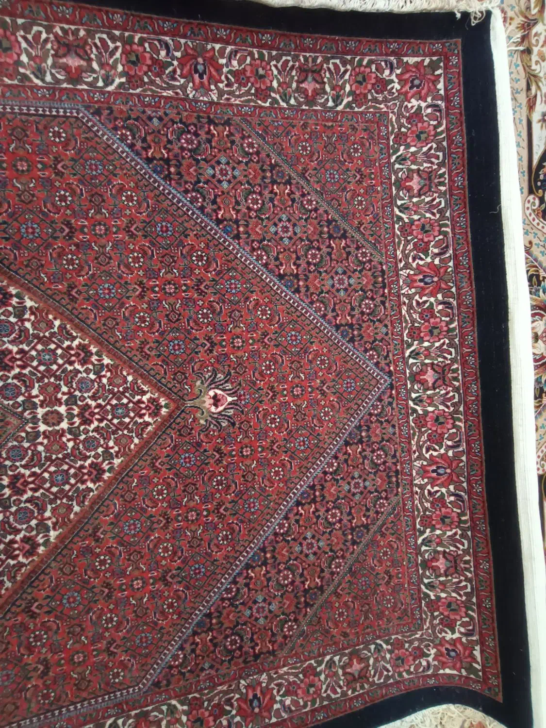 فرش دستباف قالیچه|فرش|زنجان, |دیوار