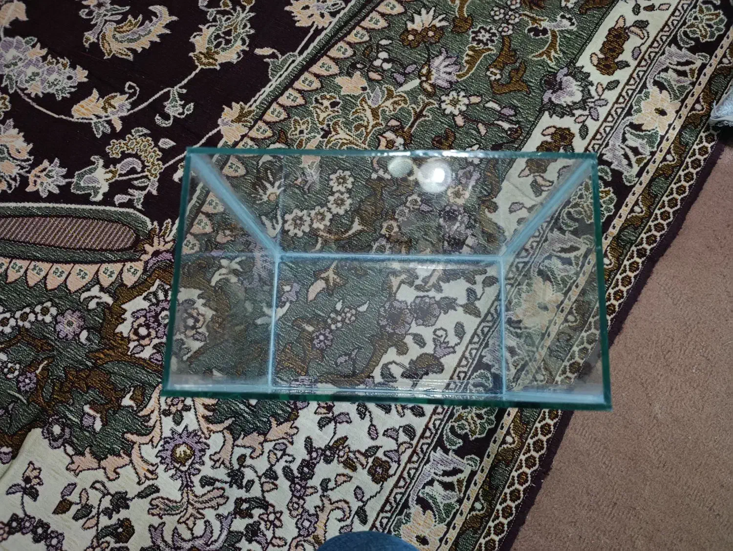 یک عدد آکواریوم|ماهی|مراغه, |دیوار